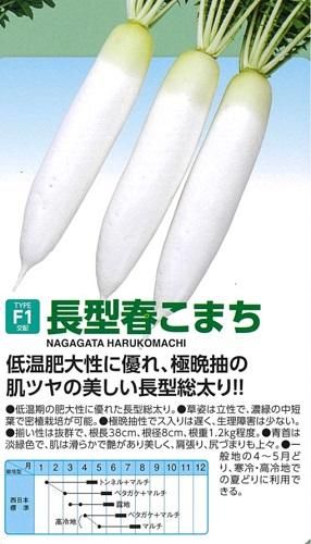 長型春こまち(2024年今期完売) - オガワのタネ オンライン 長型春こまち(2024年今期完売) - オガワのタネ オンライン