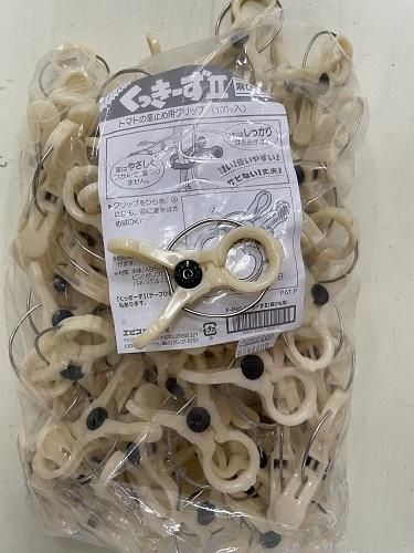 くっきーずⅡ - オガワのタネ オンラインショップ