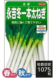 ネギ大事典 楽天市場】ネギ大事典の通販