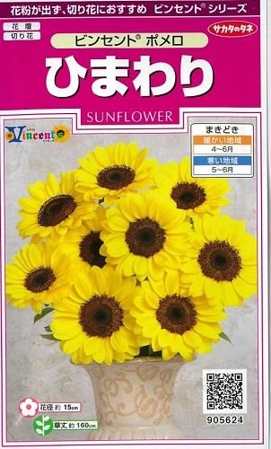 【【プロフ必読】ひまわり様】2点おまとめタンバリンベージュ×dgアネモネ手提げ ひまわり ビンセントポメロ - オガワのタネ オンラインショップ