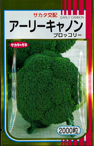アーリーキャノン - オガワのタネ オンラインショップ アーリーキャノン - オガワのタネ オンラインショップ