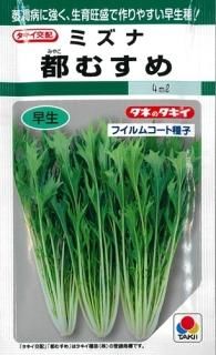 水菜 サラダ用水菜 [水菜] - e-種や｜国内最大級の野菜種・花種・苗・農業