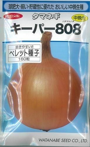 はねたまご はねたまご はねたまご ライブディオ ZX 羽上げステー - メルカリ