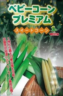 とうもろこし - オガワのタネ オンラインショップ とうもろこし - オガワのタネ オンラインショップ