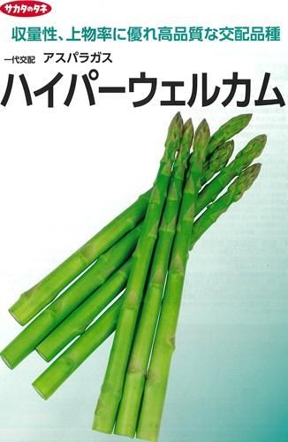 送料無料 [アスパラガス] ハイパーウェルカム 1000粒 (株)サカタ