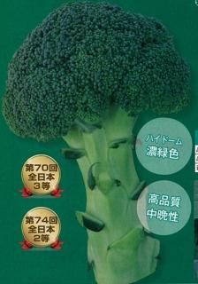 BL-456[ブロッコリー] - e-種や｜国内最大級の野菜種・花種・苗