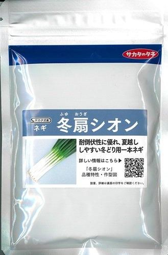 冬扇シオン - オガワのタネ オンラインショップ