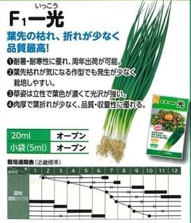 葉ネギ - オガワのタネ オンラインショップ