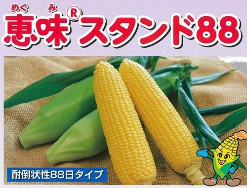 恵味スタンド88 - オガワのタネ オンラインショップ