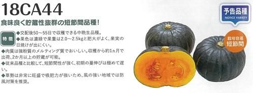 クロカワメグミ Fukushima Watch Company フクシマウォッチカンパニー mirco