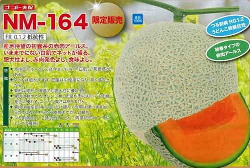 ニューメロン8キロ ニューメロンの栽培: 松の陰から
