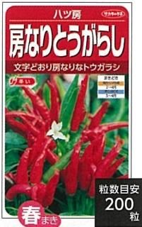 とうがらし - オガワのタネ オンラインショップ