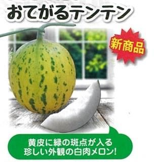 白肉メロン - オガワのタネ オンラインショップ