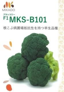 BL-456[ブロッコリー] - e-種や｜国内最大級の野菜種・花種・苗