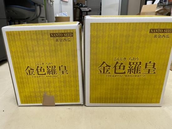 金色羅皇段ボール 大（1玉入）（メーカー直送※別途送料