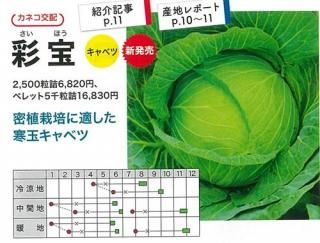 キャベツ - オガワのタネ オンラインショップ キャベツ - オガワのタネ オンラインショップ