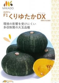 かぼちゃ - オガワのタネ オンラインショップ
