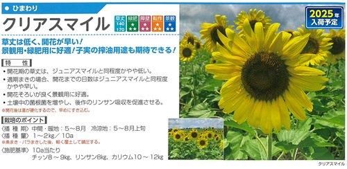 クリアスマイル（タキイ） - オガワのタネ オンラインショップ