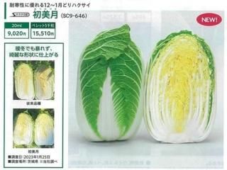 ハクサイ - オガワのタネ オンラインショップ