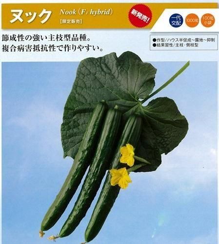 ヌック - オガワのタネ オンラインショップ