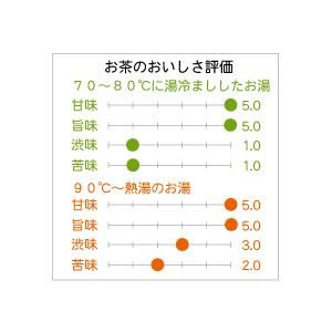 玉露 特製玉露玉鳳（ぎょくほう） 100g - お茶の常盤園