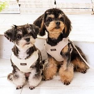 ハーネス 【GODPIVA COOLガーリーデニムハーネス ハート柄