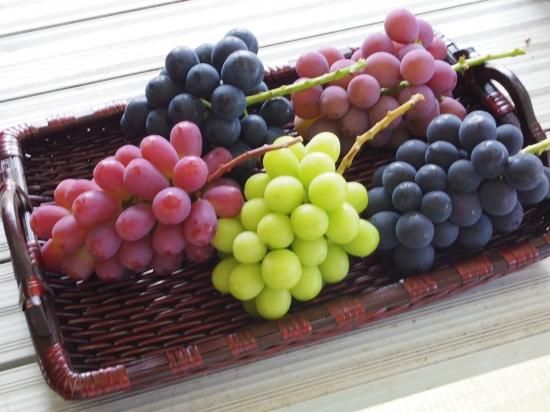 旬のぶどう詰め合わせ-3kg - グレープファーム 旬のぶどう詰め合わせ-3kg - グレープファーム