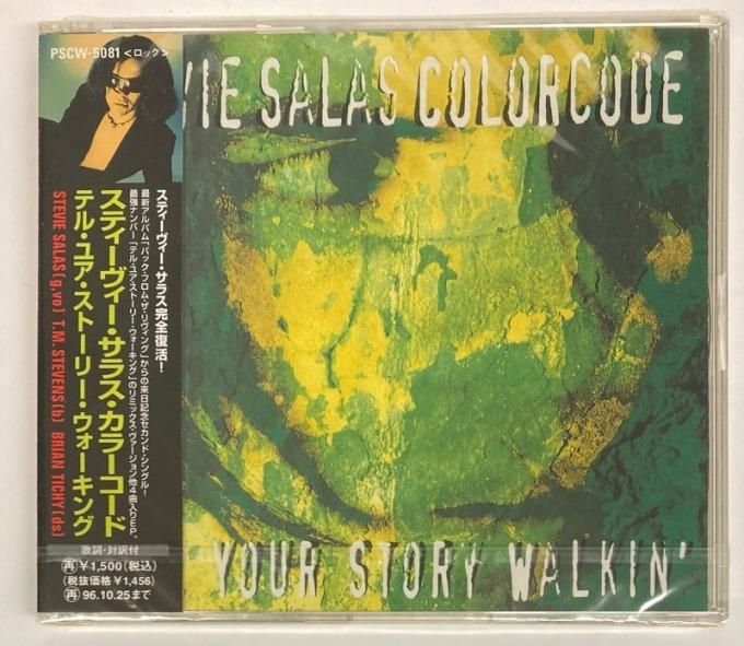 スティーヴィー・サラス・カラーコード バンドスコア2