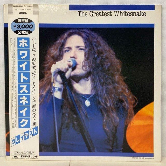 ホワイトスネイク Whitesnake / ホワイトスネイク「Slide It In: 35th Anniversary