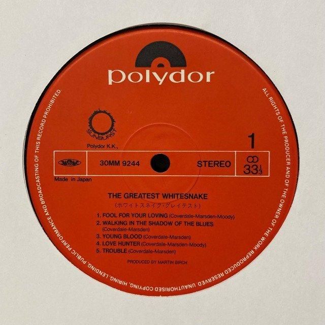 ホワイトスネイク Whitesnake / ホワイトスネイク「Slide It In: 35th Anniversary