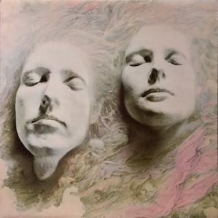Shelleyan Orphan レコード 2枚 SHELLEYAN ORPHANHelleborine (LP) - パライソレコード