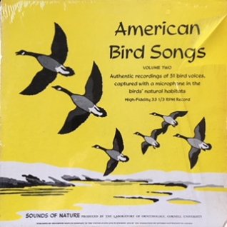 A. A. ALLEN /P. P. KELLOGGAmerican Bird Songs (LP) - パライソレコード