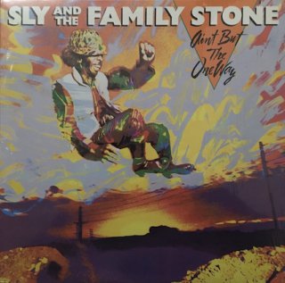 SLY & THE FAMILY STONEAin't But The One Way (LP) - パライソレコード