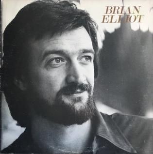 BRIAN ELLIOT レコード　ブライアン　エリオット　AOR BRIAN ELLIOTS・T (LP) - パライソレコード