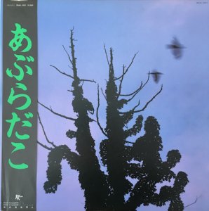 水玉消防団満天に赤い花びら (LP) - パライソレコード