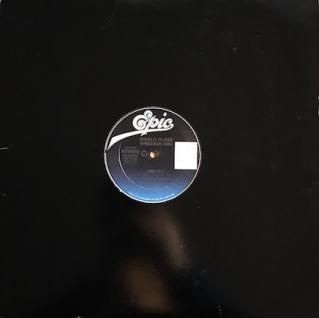 レゲエ レコード Pinchers / Runaway Train（レア プロモ盤 LP