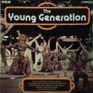 THE YOUNG GENERATIONS・T (LP) - パライソレコード