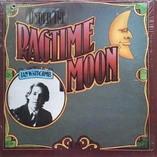 新品 comings WHALE LIVING アナログ LP レコード HOMECOMINGS - WHALE LIVING (LP 黒盤)