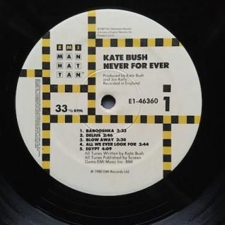 KATE BUSHNever For Ever (LP) - パライソレコード