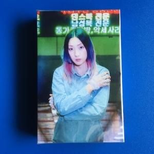 幻の名盤解放同盟ポンチャックアート1001 (Book) - パライソレコード