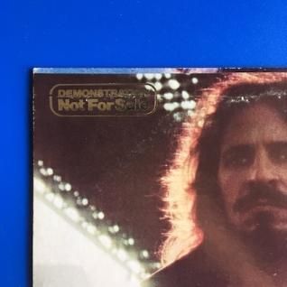 RISE/SPEED 未使用レコードLP 美品 SPEED / RISE LPアナログレコード RISE/SPEED 未使用レコードLP