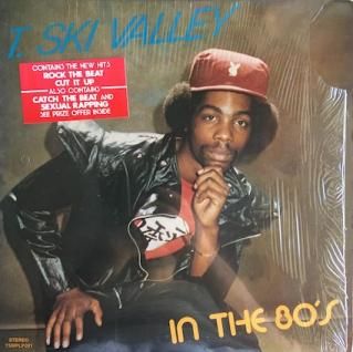 レコード THE 5.6.7.8'SPin Heel Stomp (LP) - パライソレコード