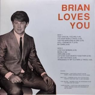 Brian Wilson　ブライアン・ウィルソン　 レコード ブライアン・ウィルソン スマイル レコード Brian Wilson Smile