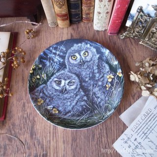 ѹ̾ҤĤʻȤ / Vintage Wedgewood The Baby Owls Plate 
