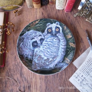 󥸤̤Ļ / Vintage Wedgewood The Baby Owls Plate 