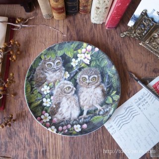 女神アテナの作戦参謀 / Vintage Wedgewood The Baby Owls Plate 
