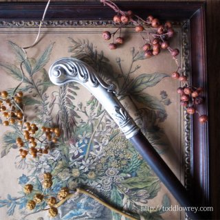 薔薇の銘木を飾る美しきアカンサス / Antique Walking Stick with Ornate Acanthus Grip