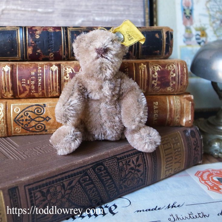 半世紀前のドイツから来たベア / Vintage Steiff Baby Teddy Bear - Todd Lowrey Antiques