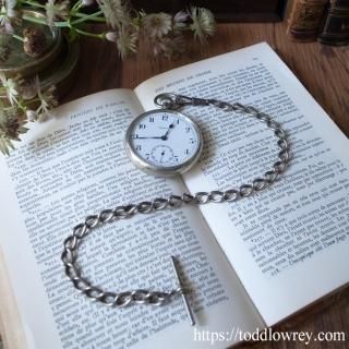 ȥꥢ£ʪ / Antique Sterling Silver Albert Watch Chain