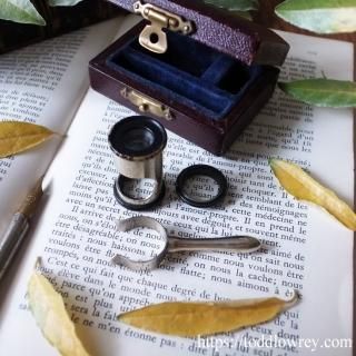 拡大鏡,ルーペ,アンティーク,Magnifying glass,